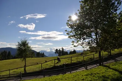 a person walking in a field next to a fence at Residence Scheidnerhof in Aldino