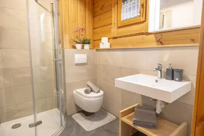 a bathroom with a toilet and a sink and a shower at Apartments Schlossblick Naturholz in Vols am Schlern