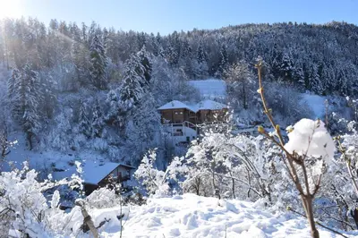 a house in the woods covered in snow at Apartments Schlossblick Naturholz in Vols am Schlern