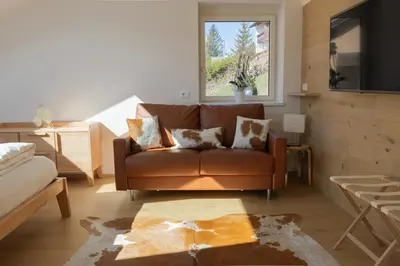 a living room with a brown couch and a window at B&B Lavi Ortisei val Gardena in Ortisei