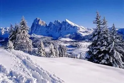a snowy mountain with trees and snow covered mountains at B&B Lavi Ortisei val Gardena in Ortisei