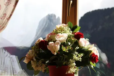 a vase filled with flowers sitting in a window at Residence Cesa Ladina in Ortisei