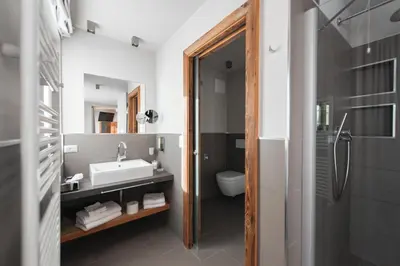 a bathroom with a sink and a toilet and a mirror at Chalet Vites Mountain Hotel in Canazei