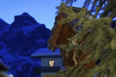 a house is seen through a tree at Alpin Apartments Colfosco in Colfosco