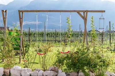 a garden with a bunch of plants in a field at Hof im Kalch Tramin in Termeno