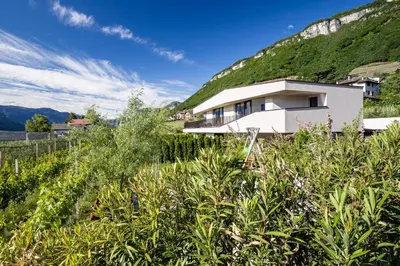 a house on the side of a hill with vegetation at Hof im Kalch Tramin in Termeno