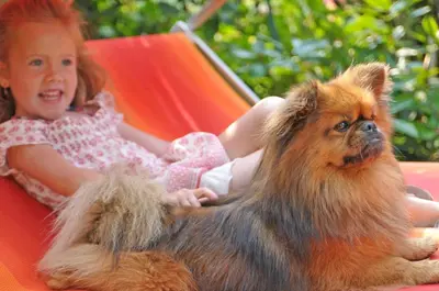 a little girl sitting on a hammock with a dog at Garni Pöhl in Tirolo