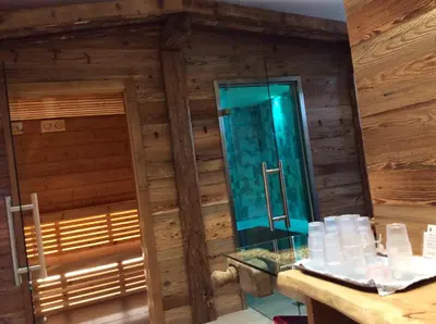 a bathroom with a mirror in a wooden wall at Hotel Al Lago in Soraga