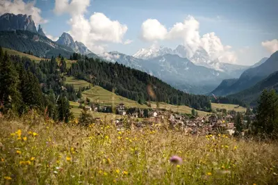 a field of flowers in a valley with mountains at Garnì Aurora Bed and Breakfast in Soraga