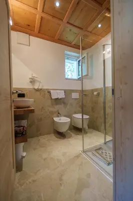 a bathroom with a shower and a sink and a toilet at B&B Bucaneve in Vigo di Fassa