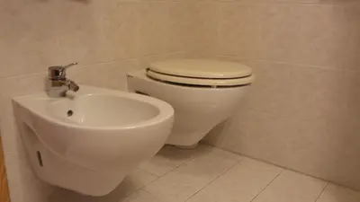 a bathroom with a toilet and a bidet at Hotel Savoia in Canazei