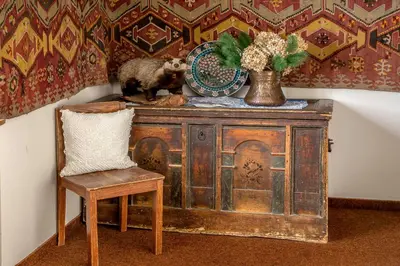 a cat standing on top of a wooden cabinet with a chair at Gasthof Obermair in Chienes