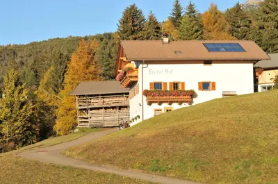 a house with solar panels on the side of a hill at Fiziderhof in Castelrotto