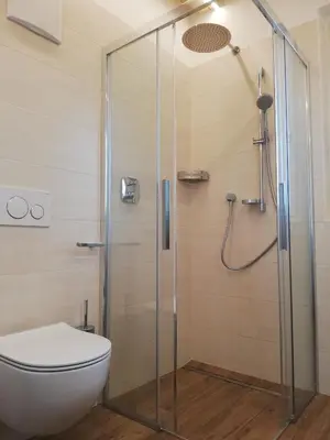 a bathroom with a shower with a toilet at Gisshübelhof in Andrian