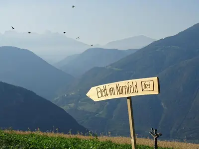 a street sign on a hill with mountains in the background at Haflingerhof in San Genesio Atesino