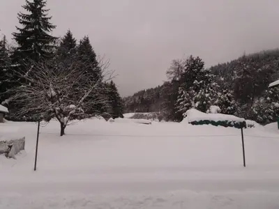 a snow covered yard with trees and a snow covered field at Appartamento Cologna in Castelfondo