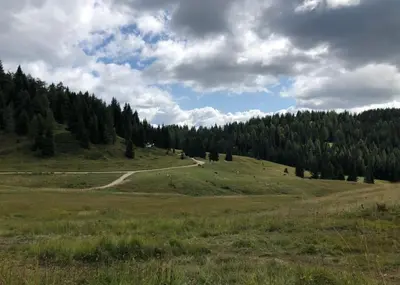 a grassy hill with a road in the middle of a field at Appartamento Cologna in Castelfondo