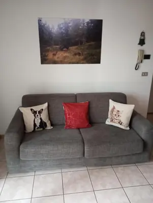 a gray couch with pillows on it in a room at Appartamento Cologna in Castelfondo