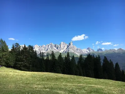 a field with trees and mountains in the background at il Finferlo in Bellamonte