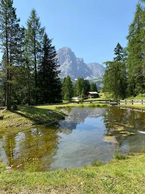 a pond in a field with a mountain in the background at Apartment Nido in Selva di Val Gardena