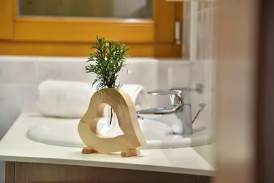 a plant sitting on top of a bathroom sink at Pirchnerhof in San Lorenzo di Sebato