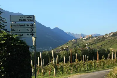 a street sign in front of a vineyard at HomeSuiteHome in Merano