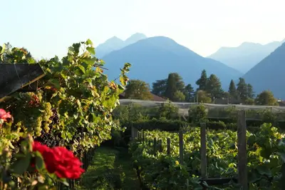 a garden with red flowers and mountains in the background at HomeSuiteHome in Merano