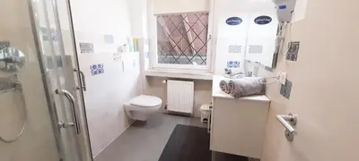 a bathroom with a shower and a toilet and a window at HomeSuiteHome in Merano