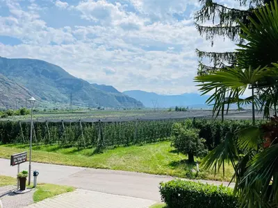 a view of a vineyard with mountains in the background at St. Vigilhof in Nalles