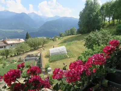 a garden with red flowers and mountains in the background at LA CESURA in Carano