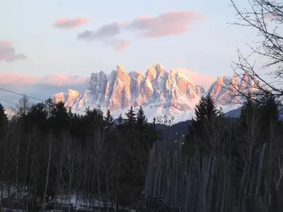 a view of a mountain range with trees in the foreground at Steierhof in Feldthurns