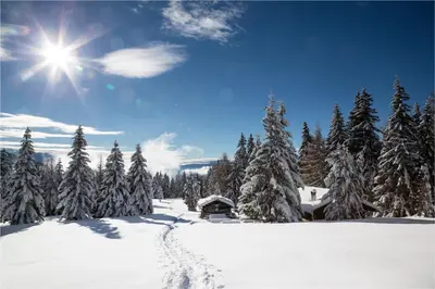 a snow covered slope with trees and a cabin at Villa Grüntaler by Hotel Schönblick in Rodengo