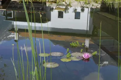 a house in a pond with lily pads in it at Gapphof in Lagundo