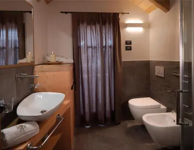 a bathroom with a sink and a toilet and a shower at Chalet Stella Alpina in Val di Zoldo