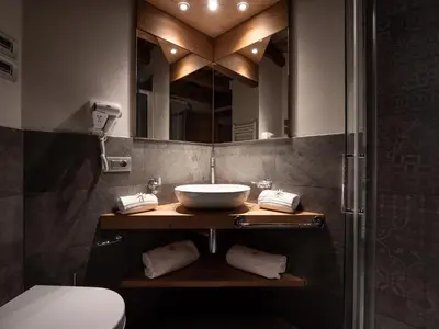 a bathroom with a sink and a mirror at Chalet Stella Alpina in Val di Zoldo