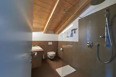 a bathroom with a shower and a toilet at Weingut Windegg in Caldaro