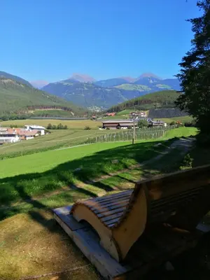 a bench in a field with mountains in the background at Appartements Schusterbauer in Naz-Sciaves