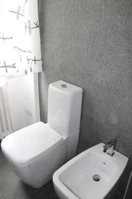 a bathroom with a white toilet and a sink at Plose Apartment in Bressanone