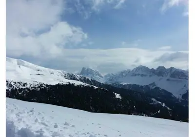 a view of a snow covered mountain with trees at Plose Apartment in Bressanone