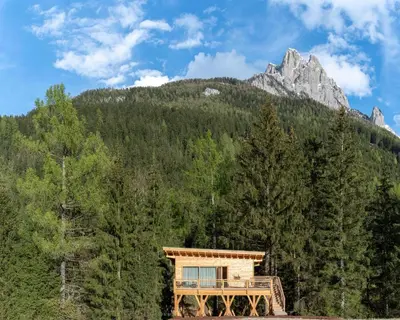 a house in the woods with a mountain in the background at Eco-Green Fiores Agriturismo in Vigo di Fassa