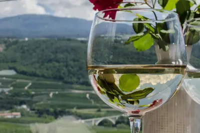 a glass of white wine with a flower in it at Orizzonti d'Anaunia in Tassullo