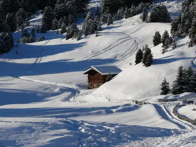 a log cabin on a snow covered slope with trees at ban Hofa in Bressanone