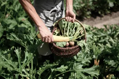 a person holding a basket with vegetables in it at Villa Arnica, a Member of Design Hotels in Lana