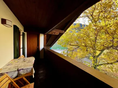 a window in a room with a view of a tree at Oberjaistenhof in Lana