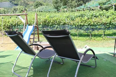two chairs sitting in front of a playground at Oberjaistenhof in Lana