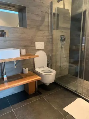 a bathroom with a toilet and a shower at L'ECLECTIQUE Bolzano in Bolzano