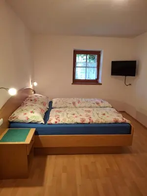 a bedroom with a bed and a window and a television at Bertoldihof in Cortaccia