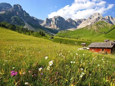 a field of flowers with a barn in the mountains at Apartment Carmen-3 by Interhome in Soraga