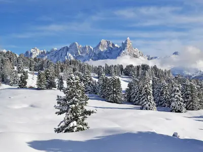 a snowy mountain range with snow covered trees and mountains at Apartment Chalet Baita Tabià Dolomites by Interhome in Bellamonte