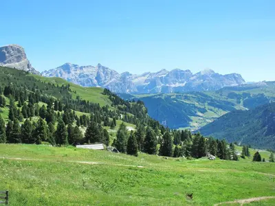 a green hillside with trees and mountains in the background at Apartment Chalet Baita Tabià Dolomites by Interhome in Bellamonte
